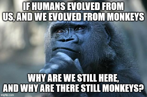 Deep Thoughts | IF HUMANS EVOLVED FROM US, AND WE EVOLVED FROM MONKEYS; WHY ARE WE STILL HERE, AND WHY ARE THERE STILL MONKEYS? | image tagged in deep thoughts | made w/ Imgflip meme maker