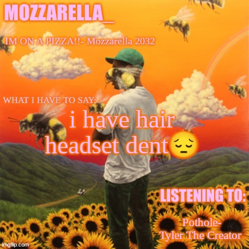 Flower Boy | i have hair headset dent😔; Pothole- Tyler The Creator | image tagged in flower boy | made w/ Imgflip meme maker