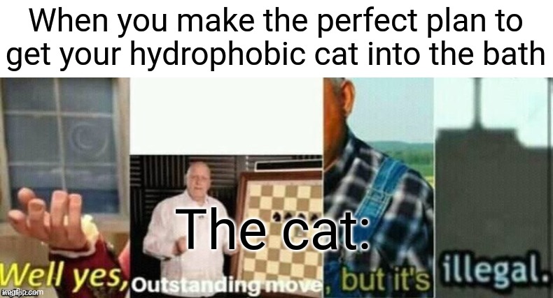 It's illegal to get my cat to take a bath | When you make the perfect plan to get your hydrophobic cat into the bath; The cat: | image tagged in well yes outstanding move but it's illegal | made w/ Imgflip meme maker