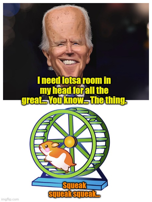 Biden/Hamster 2024!!! | I need lotsa room in my head for all the great... You know... The thing. Squeak squeak squeak... | made w/ Imgflip meme maker