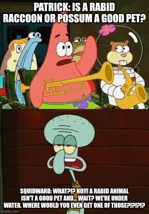 A rabid animal isn't a good pet | PATRICK: IS A RABID RACCOON OR POSSUM A GOOD PET? SQUIDWARD: WHAT?!? NO!!! A RABID ANIMAL ISN'T A GOOD PET AND... WAIT? WE'RE UNDER WATER. WHERE WOULD YOU EVEN GET ONE OF THOSE?!?!?!? | image tagged in is mayonnaise an instrument | made w/ Imgflip meme maker