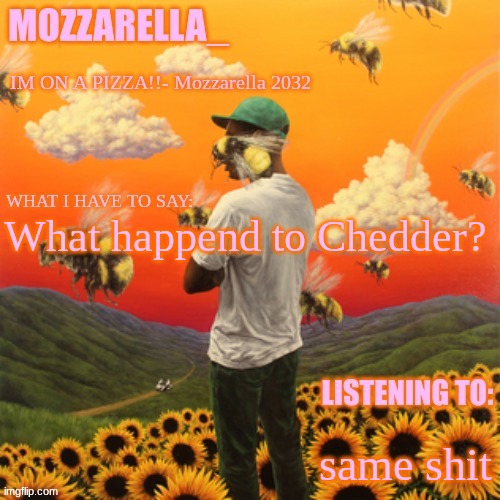 Flower Boy | What happend to Chedder? same shit | image tagged in flower boy | made w/ Imgflip meme maker