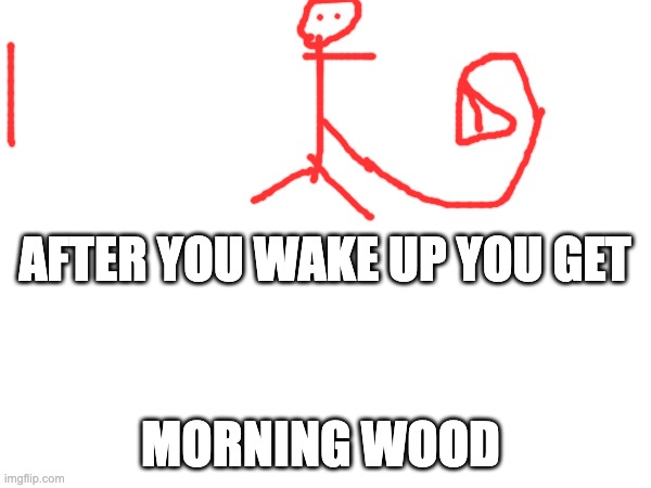 AFTER YOU WAKE UP YOU GET; MORNING WOOD | made w/ Imgflip meme maker