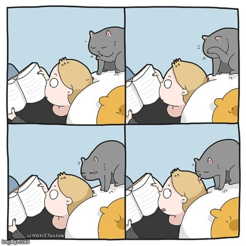 A Cat Lady's Way Of Thinking | image tagged in memes,comics,cats,cleaning,your,hair | made w/ Imgflip meme maker