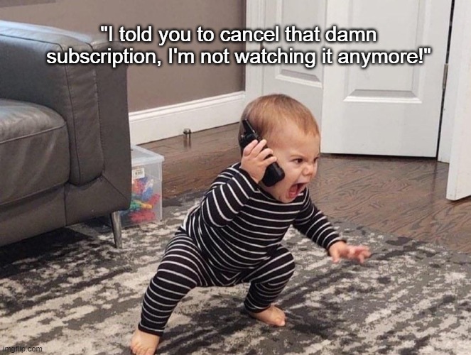 Just Cancel It | "I told you to cancel that damn subscription, I'm not watching it anymore!" | image tagged in psychologistkid,unsubscribe,customer service,complaint | made w/ Imgflip meme maker