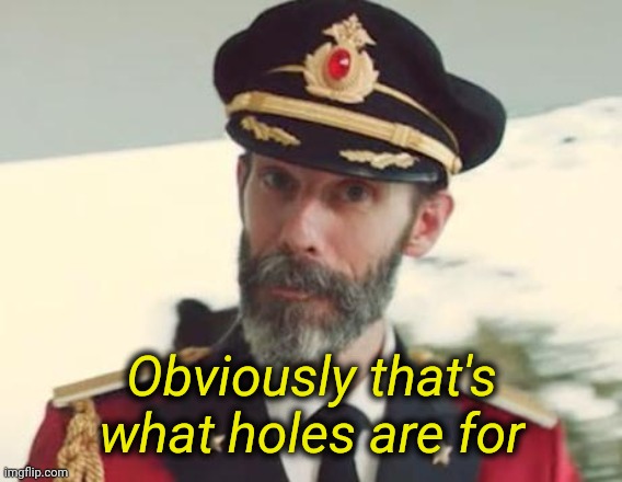 Captain Obvious | Obviously that's what holes are for | image tagged in captain obvious | made w/ Imgflip meme maker