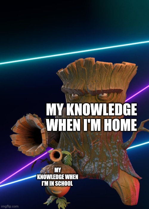 stronk | MY KNOWLEDGE WHEN I'M HOME; MY KNOWLEDGE WHEN I'M IN SCHOOL | image tagged in acorn and oak | made w/ Imgflip meme maker