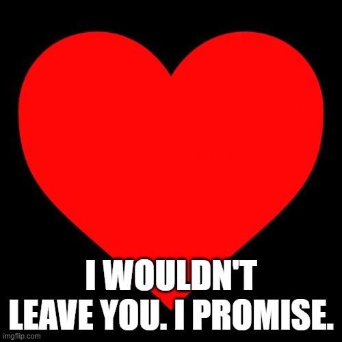 Heart | I WOULDN'T LEAVE YOU. I PROMISE. | image tagged in heart | made w/ Imgflip meme maker