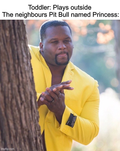 oh hell no | Toddler: Plays outside 

The neighbours Pit Bull named Princess: | image tagged in black guy hiding behind tree,memes,funny,pit bull,toddler,dank memes | made w/ Imgflip meme maker