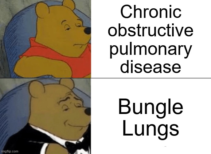 SURGEON GENERAL'S WARNING: Smoking Causes Bungle Lungs | Chronic
obstructive
pulmonary
disease; Bungle
Lungs | image tagged in memes,tuxedo winnie the pooh,smoking,smoking weed,surgeon,medical | made w/ Imgflip meme maker