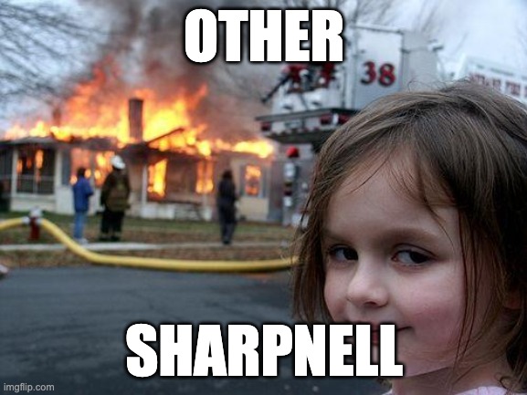 Disaster Girl Meme | OTHER; SHARPNELL | image tagged in memes,disaster girl | made w/ Imgflip meme maker