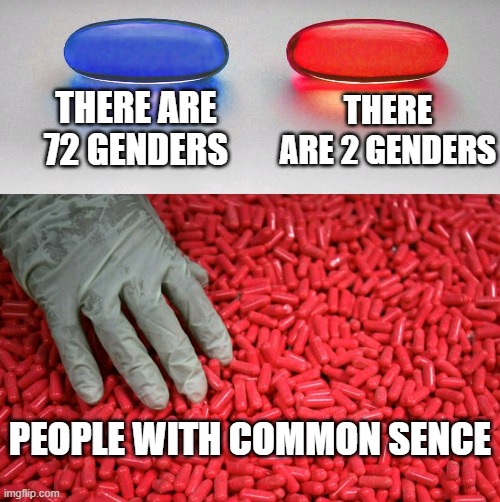 Blue or red pill | THERE ARE 72 GENDERS; THERE ARE 2 GENDERS; PEOPLE WITH COMMON SENCE | image tagged in blue or red pill | made w/ Imgflip meme maker