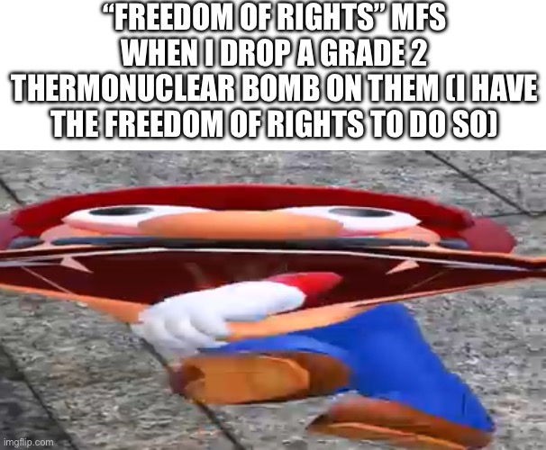 insert title | “FREEDOM OF RIGHTS” MFS WHEN I DROP A GRADE 2 THERMONUCLEAR BOMB ON THEM (I HAVE THE FREEDOM OF RIGHTS TO DO SO) | image tagged in smg4 mario screaming,fun,memes | made w/ Imgflip meme maker