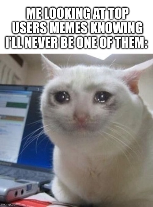 I’ll never be a top user, will I? | ME LOOKING AT TOP USERS MEMES KNOWING I’LL NEVER BE ONE OF THEM: | image tagged in crying cat,fun | made w/ Imgflip meme maker