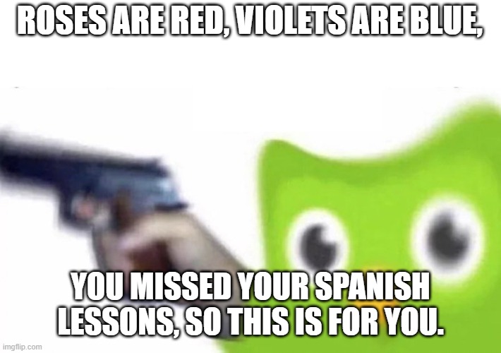 WHO LET THE BIRD IN HERE? | ROSES ARE RED, VIOLETS ARE BLUE, YOU MISSED YOUR SPANISH LESSONS, SO THIS IS FOR YOU. | image tagged in duolingo gun,memes | made w/ Imgflip meme maker