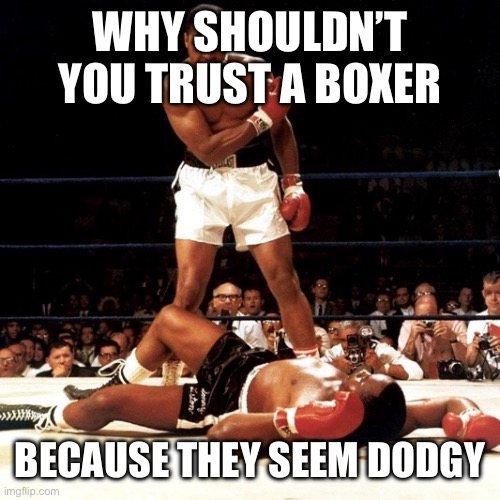 RIP Muhammad Ali | WHY SHOULDN’T YOU TRUST A BOXER BECAUSE THEY SEEM DODGY | image tagged in rip muhammad ali | made w/ Imgflip meme maker