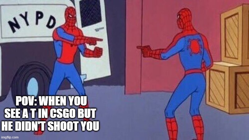 POV: you see a T in CSGO but you and he didn't shoot you | POV: WHEN YOU SEE A T IN CSGO BUT HE DIDN'T SHOOT YOU | image tagged in spiderman pointing at spiderman | made w/ Imgflip meme maker