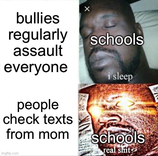 Sleeping Shaq Meme | bullies regularly assault everyone; schools; people check texts from mom; schools | image tagged in memes,sleeping shaq | made w/ Imgflip meme maker