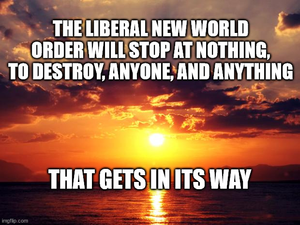 Sunset | THE LIBERAL NEW WORLD ORDER WILL STOP AT NOTHING, TO DESTROY, ANYONE, AND ANYTHING; THAT GETS IN ITS WAY | image tagged in sunset | made w/ Imgflip meme maker