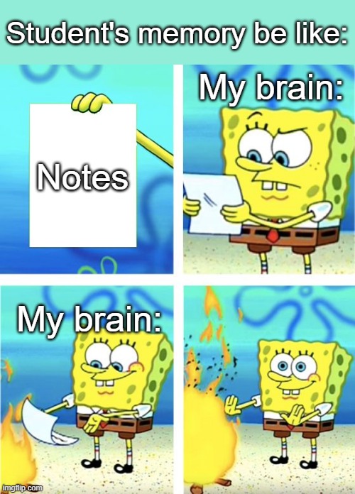 It's Ultra relatable | Student's memory be like:; My brain:; Notes; My brain: | image tagged in students | made w/ Imgflip meme maker