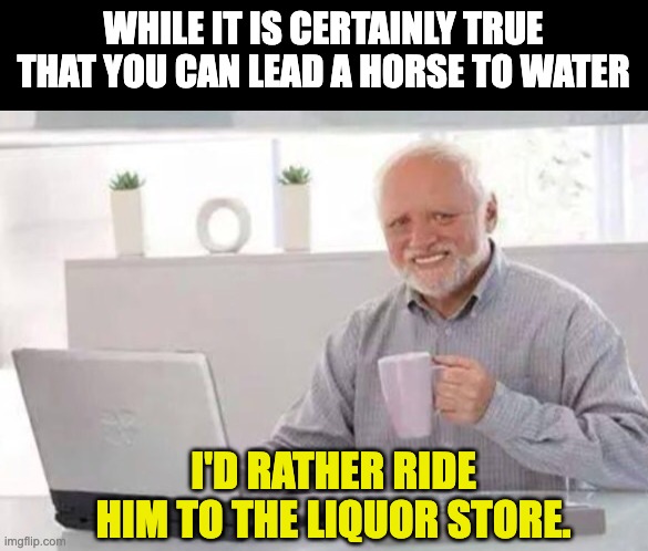 Horse | WHILE IT IS CERTAINLY TRUE THAT YOU CAN LEAD A HORSE TO WATER; I'D RATHER RIDE HIM TO THE LIQUOR STORE. | image tagged in harold | made w/ Imgflip meme maker