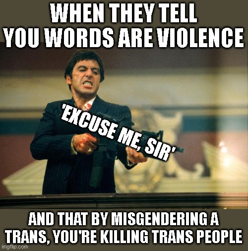 version 2 | WHEN THEY TELL YOU WORDS ARE VIOLENCE; 'EXCUSE ME, SIR'; AND THAT BY MISGENDERING A TRANS, YOU'RE KILLING TRANS PEOPLE | image tagged in scarface meme | made w/ Imgflip meme maker