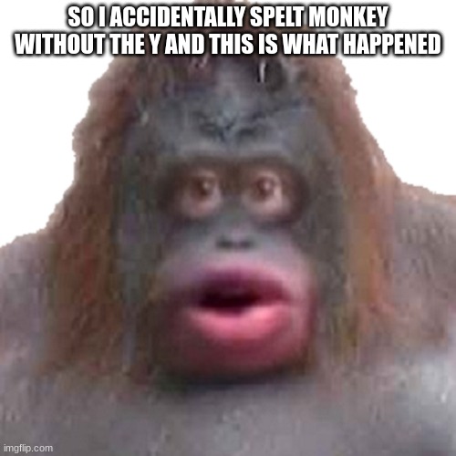 oh god | SO I ACCIDENTALLY SPELT MONKEY WITHOUT THE Y AND THIS IS WHAT HAPPENED | image tagged in cursed image | made w/ Imgflip meme maker