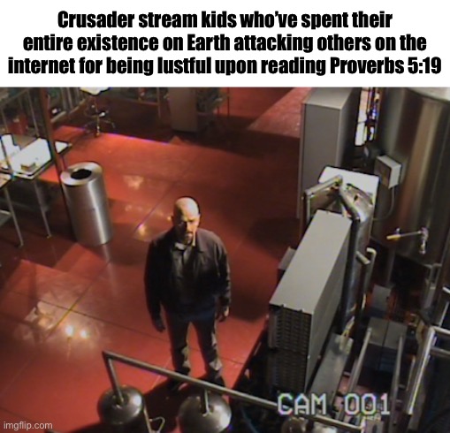 W god | Crusader stream kids who’ve spent their entire existence on Earth attacking others on the internet for being lustful upon reading Proverbs 5:19 | image tagged in walter white stares at camera | made w/ Imgflip meme maker