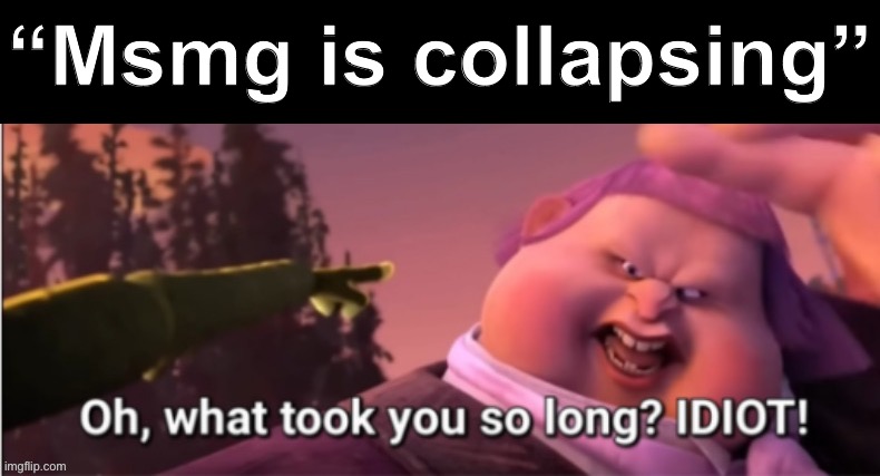 Oh, what took you so long? Idiot! | “Msmg is collapsing” | image tagged in oh what took you so long idiot | made w/ Imgflip meme maker