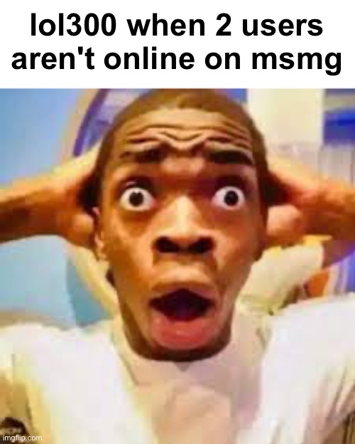 "MSMG IS COLLAPSING!!!" |  lol300 when 2 users aren't online on msmg | image tagged in fr ong | made w/ Imgflip meme maker