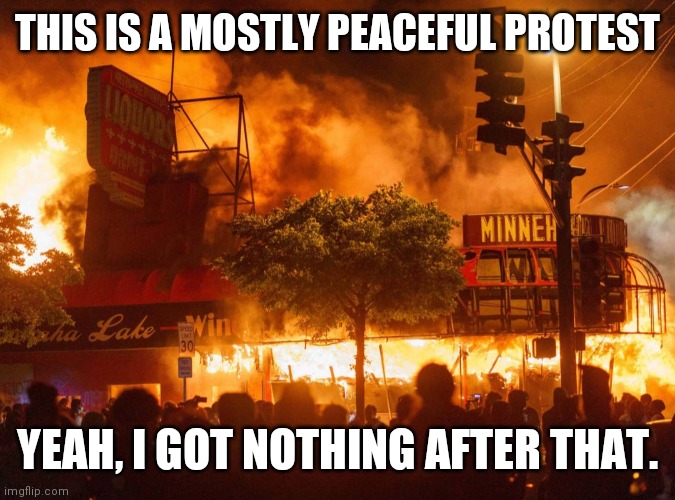 Summer Of Love; 2020 | THIS IS A MOSTLY PEACEFUL PROTEST; YEAH, I GOT NOTHING AFTER THAT. | image tagged in mostly peaceful protest,shot in the neck,billions,burnt toast,bailed out billionaires,2024 | made w/ Imgflip meme maker