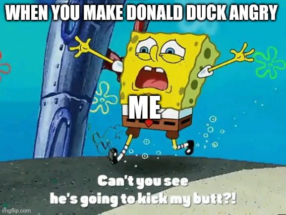 I've angered Donald duck!!!! | WHEN YOU MAKE DONALD DUCK ANGRY; ME | image tagged in memes | made w/ Imgflip meme maker