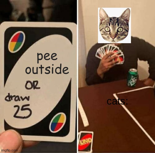 cats be like | pee outside; cats: | image tagged in memes,uno draw 25 cards | made w/ Imgflip meme maker