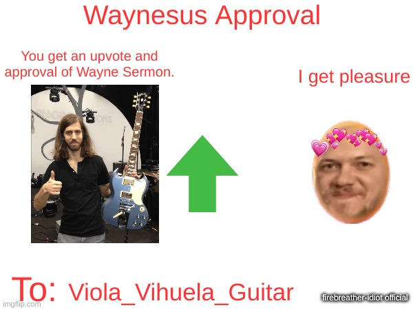 firebreather-idiot's Waynesus Approval Template | firebreather-idiot official Viola_Vihuela_Guitar | image tagged in firebreather-idiot's waynesus approval template | made w/ Imgflip meme maker