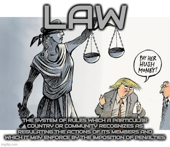 LAW | LAW; THE SYSTEM OF RULES WHICH A PARTICULAR COUNTRY OR COMMUNITY RECOGNIZES AS REGULATING THE ACTIONS OF ITS MEMBERS AND WHICH IT MAY ENFORCE BY THE IMPOSITION OF PENALTIES | image tagged in law,constitution,regulation,rule,statute,ordinance | made w/ Imgflip meme maker