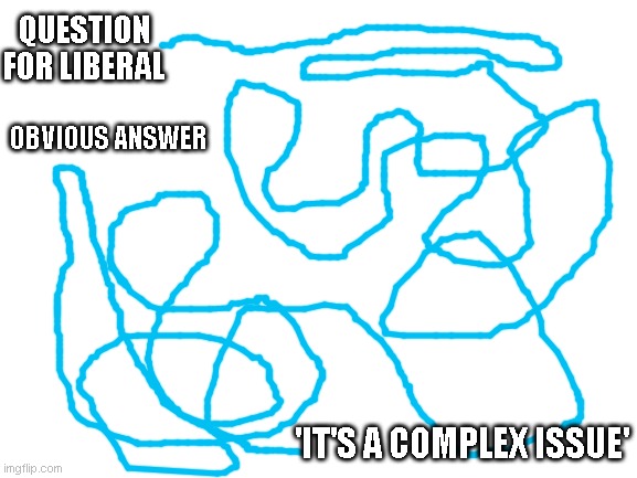 Every journeys complicated when you desperately avoid the answer at all costs |  QUESTION FOR LIBERAL; OBVIOUS ANSWER; 'IT'S A COMPLEX ISSUE' | image tagged in blank white template | made w/ Imgflip meme maker