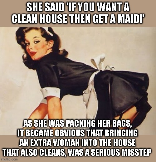 maids are underpaid | SHE SAID 'IF YOU WANT A CLEAN HOUSE THEN GET A MAID!'; AS SHE WAS PACKING HER BAGS, IT BECAME OBVIOUS THAT BRINGING AN EXTRA WOMAN INTO THE HOUSE THAT ALSO CLEANS, WAS A SERIOUS MISSTEP | image tagged in maids are underpaid | made w/ Imgflip meme maker