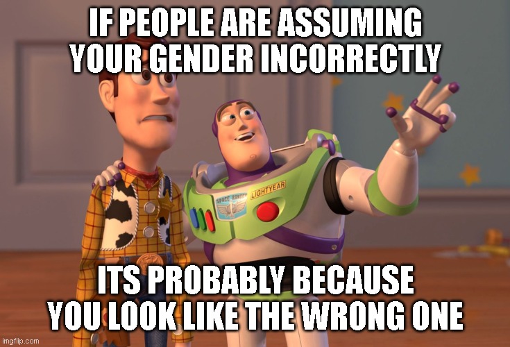 thats really more of a you problem than a me problem.. | IF PEOPLE ARE ASSUMING YOUR GENDER INCORRECTLY; ITS PROBABLY BECAUSE YOU LOOK LIKE THE WRONG ONE | image tagged in memes,x x everywhere | made w/ Imgflip meme maker