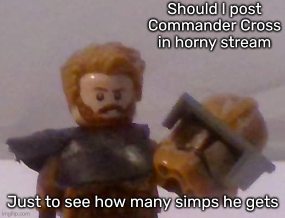 Commander Cross | Should I post Commander Cross in horny stream; Just to see how many simps he gets | image tagged in commander cross | made w/ Imgflip meme maker