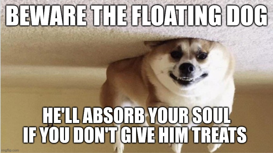 Evil floating dog | BEWARE THE FLOATING DOG; HE'LL ABSORB YOUR SOUL IF YOU DON'T GIVE HIM TREATS | image tagged in cursed image | made w/ Imgflip meme maker