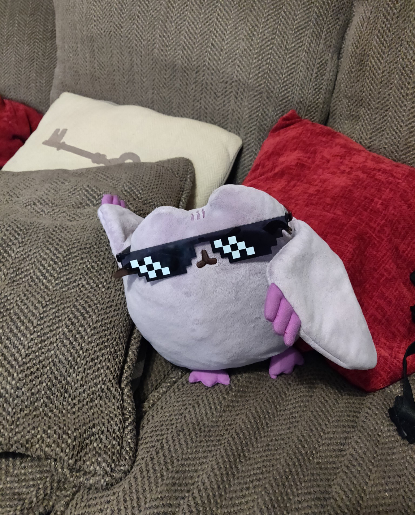 High Quality Deal with it purple pusheen Blank Meme Template