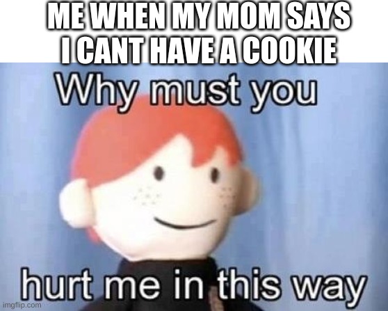 :´( | ME WHEN MY MOM SAYS I CANT HAVE A COOKIE | image tagged in why must you hurt me this way | made w/ Imgflip meme maker