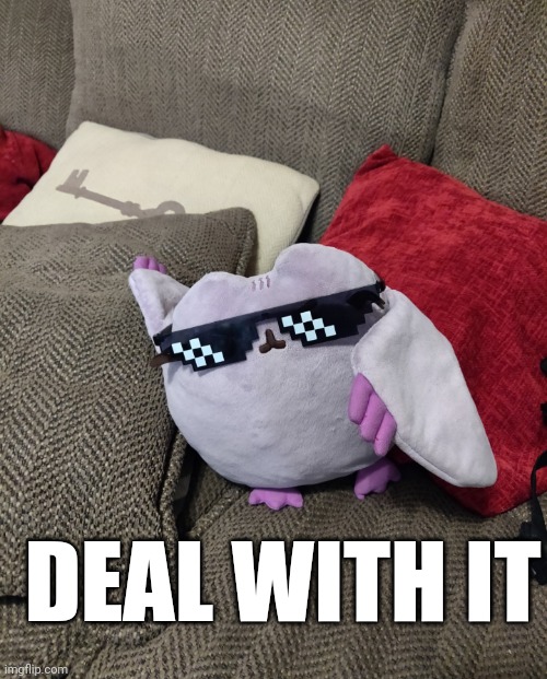 Image is courtesy of my brother | DEAL WITH IT | image tagged in deal with it purple pusheen,pusheen,deal with it,sunglasses | made w/ Imgflip meme maker