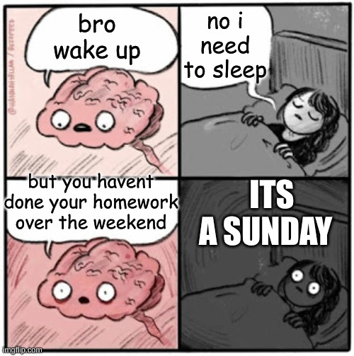 oh no! | no i need to sleep; bro wake up; but you havent done your homework over the weekend; ITS A SUNDAY | image tagged in brain before sleep,funny | made w/ Imgflip meme maker