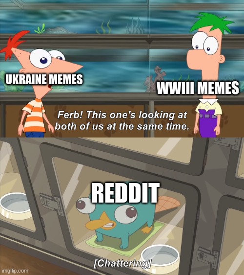 phineas and ferb | WWIII MEMES; UKRAINE MEMES; REDDIT | image tagged in phineas and ferb | made w/ Imgflip meme maker