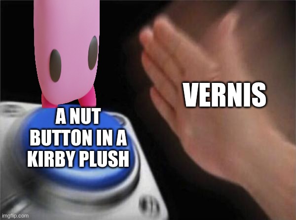 i love him, go check him out on youtube | VERNIS; A NUT BUTTON IN A KIRBY PLUSH | image tagged in memes,blank nut button | made w/ Imgflip meme maker