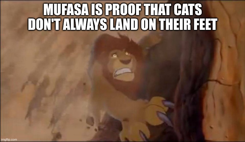 L Disney creators | MUFASA IS PROOF THAT CATS DON'T ALWAYS LAND ON THEIR FEET | image tagged in memes,disney,bad luck | made w/ Imgflip meme maker