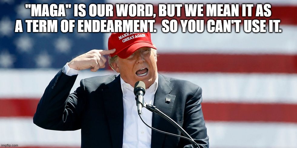 Trump MAGA Hat | "MAGA" IS OUR WORD, BUT WE MEAN IT AS A TERM OF ENDEARMENT.  SO YOU CAN'T USE IT. | image tagged in trump maga hat | made w/ Imgflip meme maker