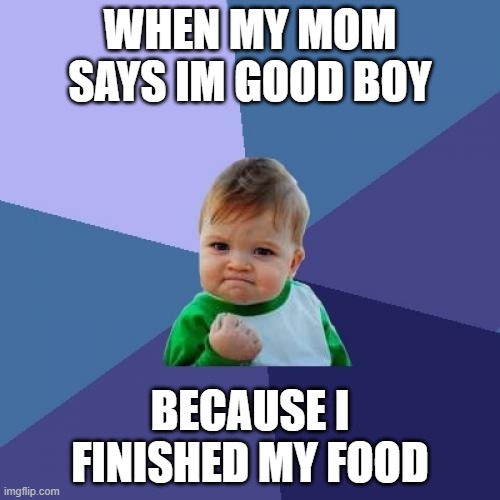 finished | WHEN MY MOM SAYS IM GOOD BOY; BECAUSE I FINISHED MY FOOD | image tagged in memes,success kid | made w/ Imgflip meme maker