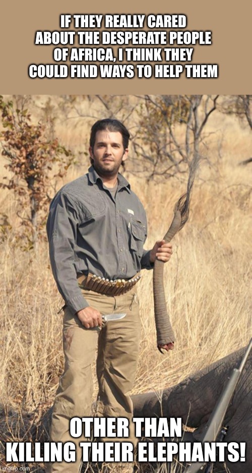donald trump jr | IF THEY REALLY CARED ABOUT THE DESPERATE PEOPLE OF AFRICA, I THINK THEY COULD FIND WAYS TO HELP THEM; OTHER THAN KILLING THEIR ELEPHANTS! | image tagged in donald trump jr | made w/ Imgflip meme maker